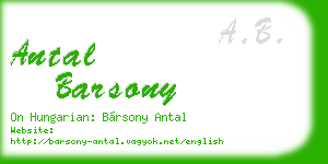 antal barsony business card